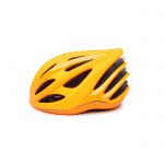 Gold Bike Helmet